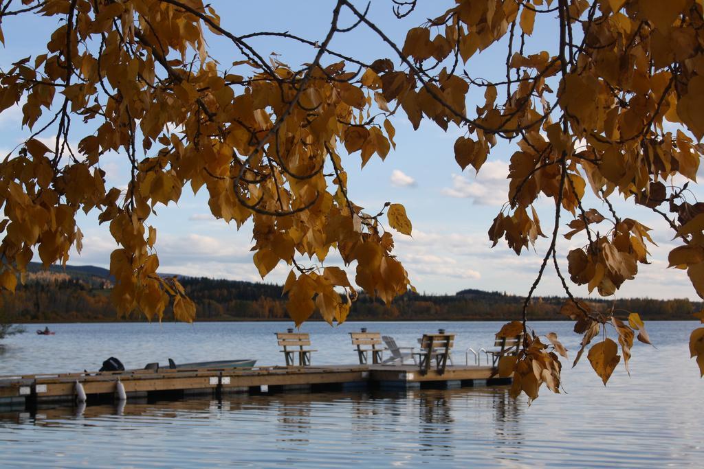Robert'S Roost Rv Park Resort Quesnel Luaran gambar