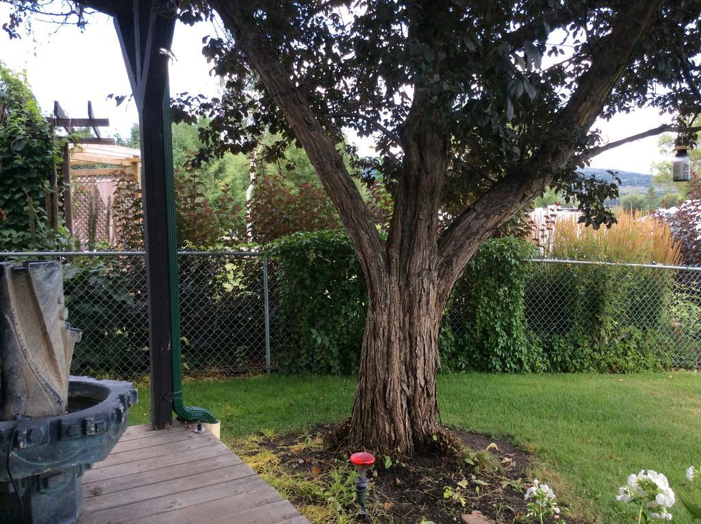 Robert'S Roost Rv Park Resort Quesnel Luaran gambar