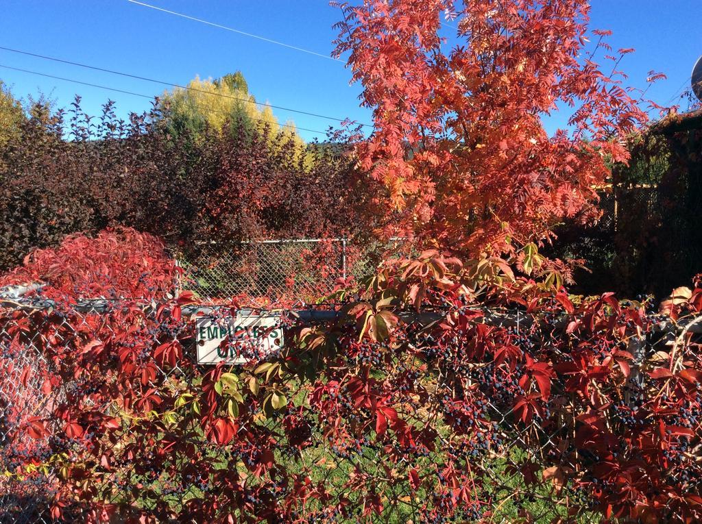 Robert'S Roost Rv Park Resort Quesnel Luaran gambar